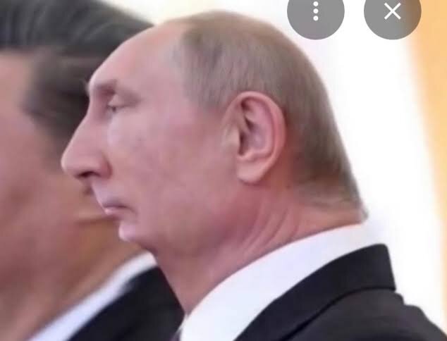 images (17).jpeg