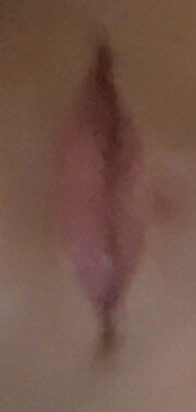 IMG_5369.jpeg