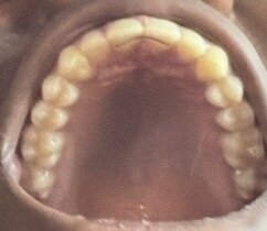 IMG_7398.jpeg