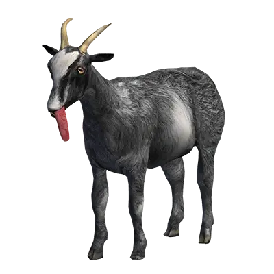 NormalGoat.webp
