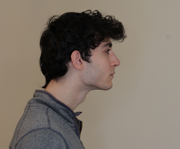 Side rhino genio morph