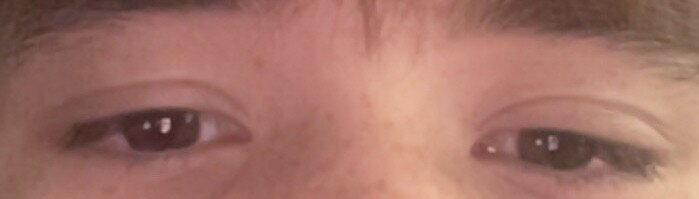 IMG_0709.jpeg