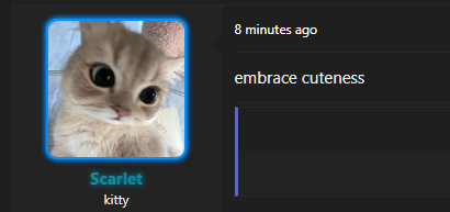 1785079271062.png