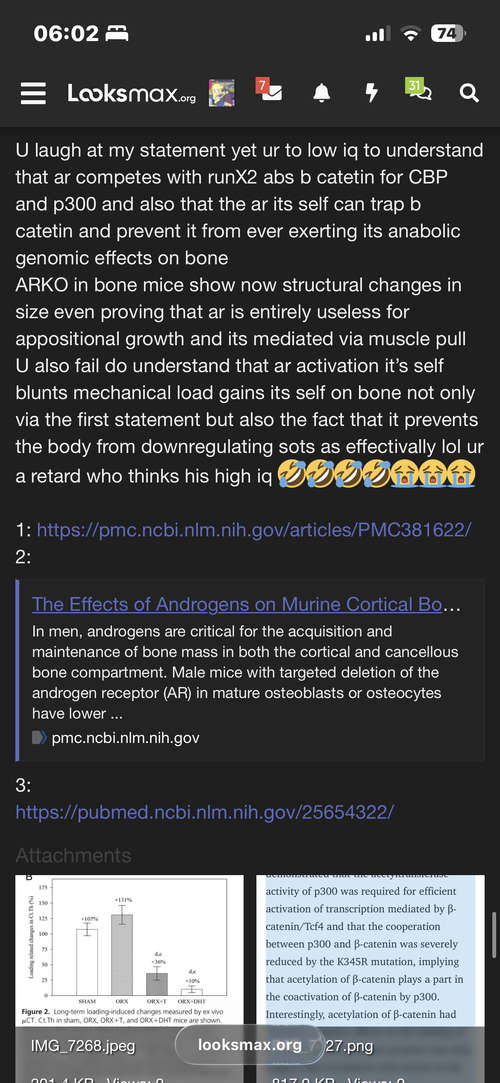 IMG_7428.png