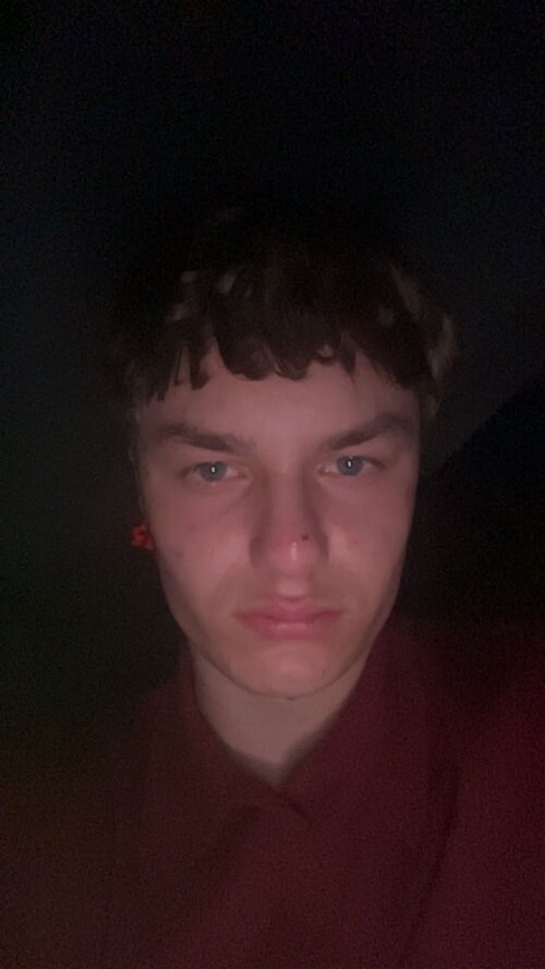 IMG 3761