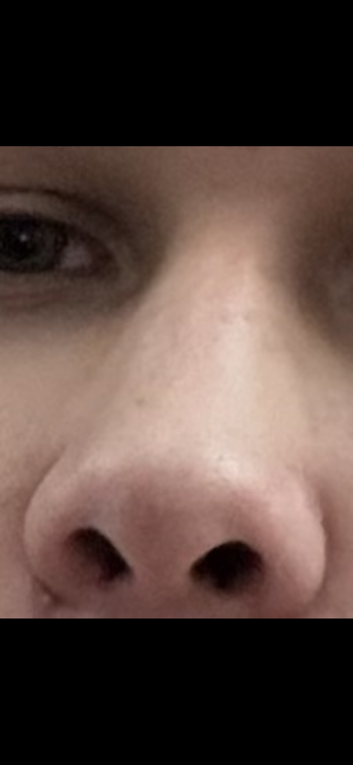 IMG_2837.png