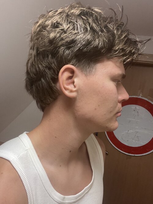 IMG_1508.jpeg