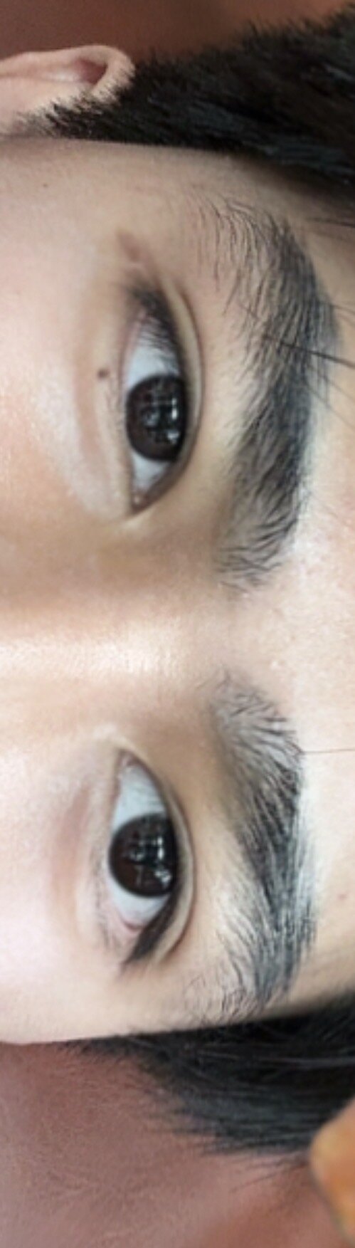 IMG_2178.jpeg