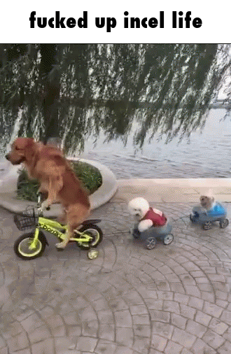 caption.gif