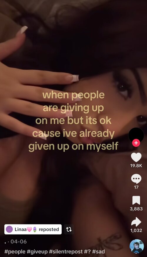 Screenshot_20260729_151950_TikTok.jpg