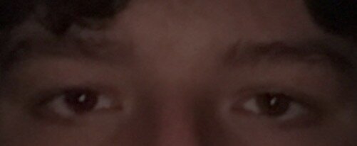 IMG_1783.jpeg
