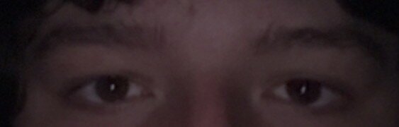 IMG_1781.jpeg