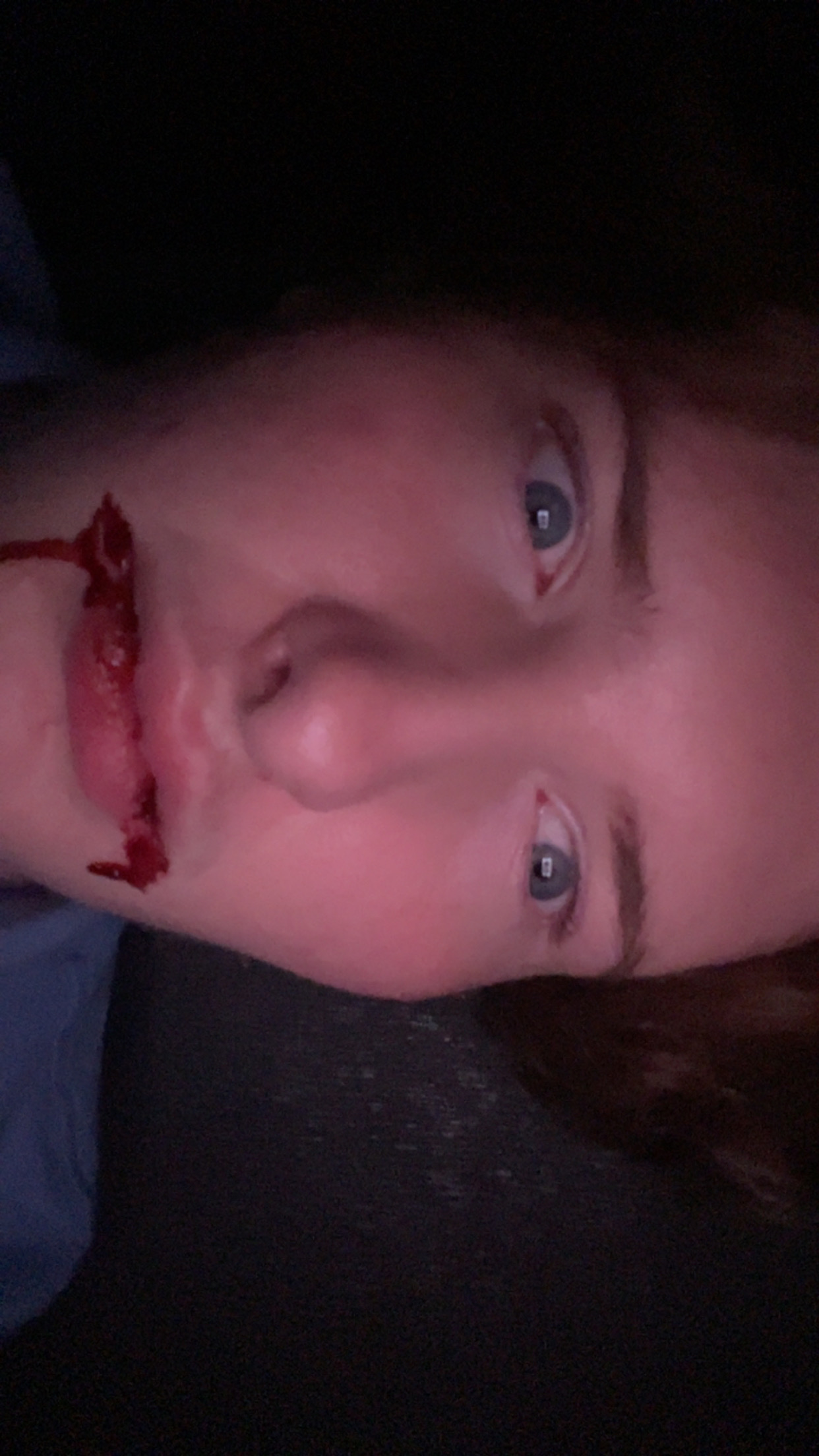 IMG 2264