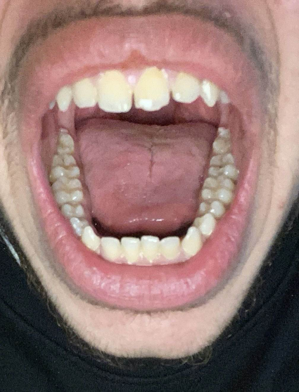 1785593956555