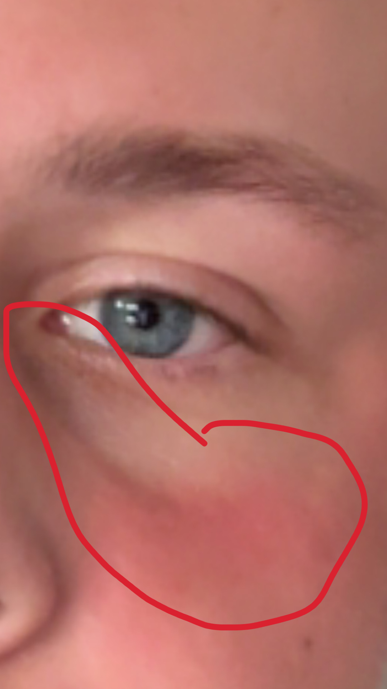 IMG 0254