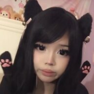 337866