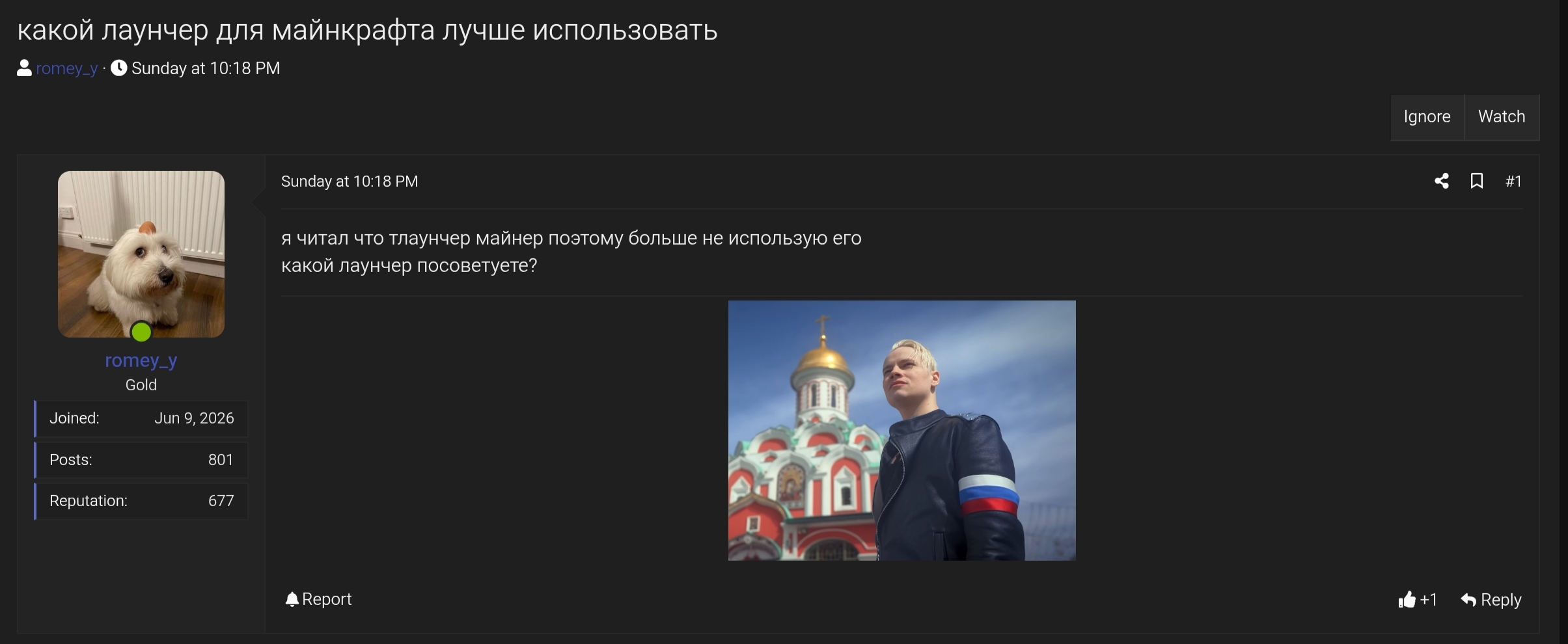 1000011334