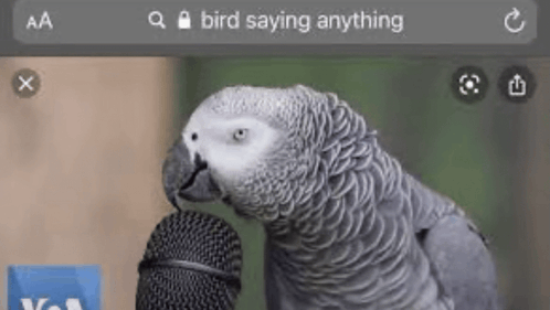 1785685538459