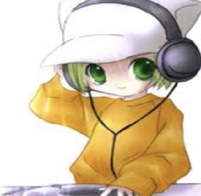 44038