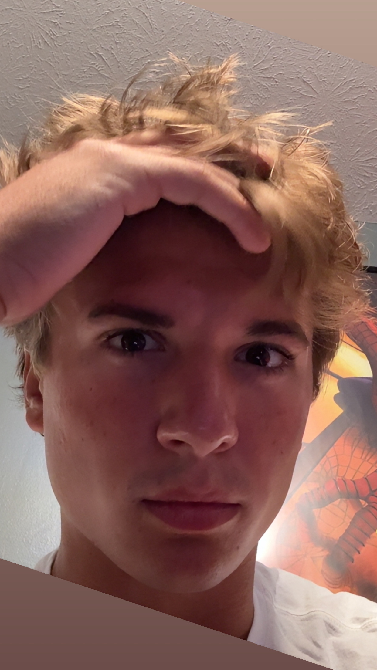 IMG 1331