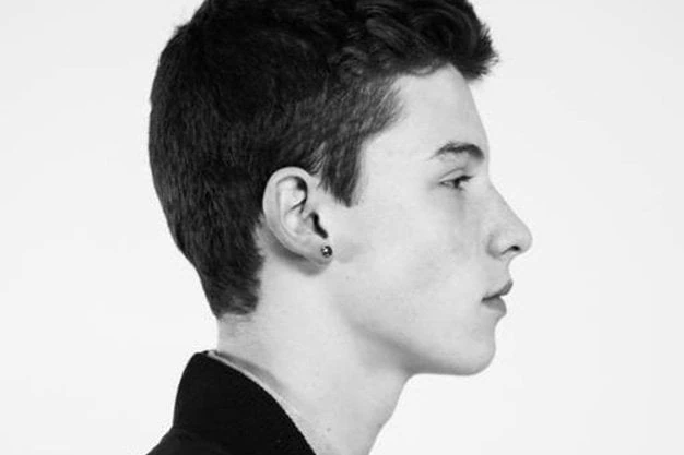 Shawn mendes