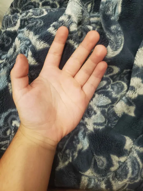 20260803 043615 2