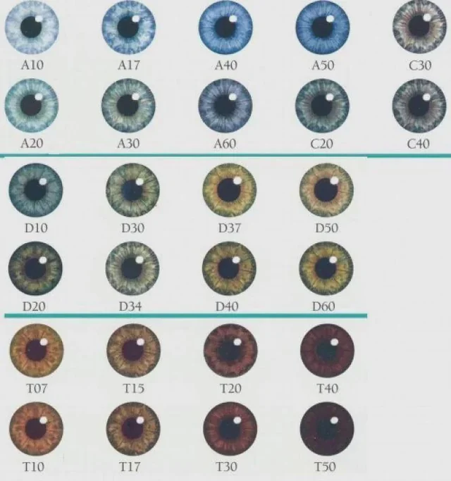 1785764451087