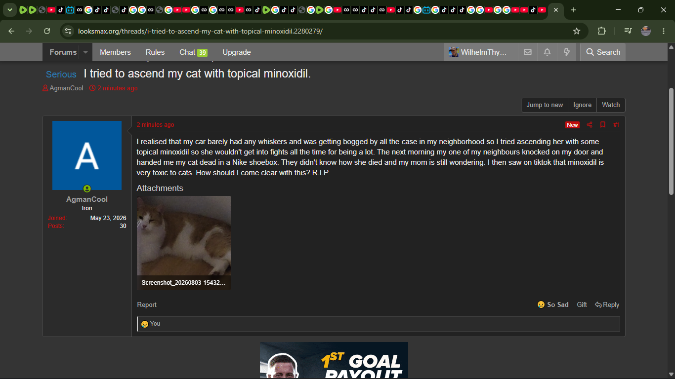 Screenshot 374