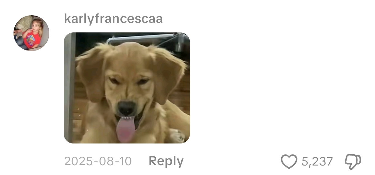 Screenshot 20260803 165608 com zhiliaoapp musically DetailActivity