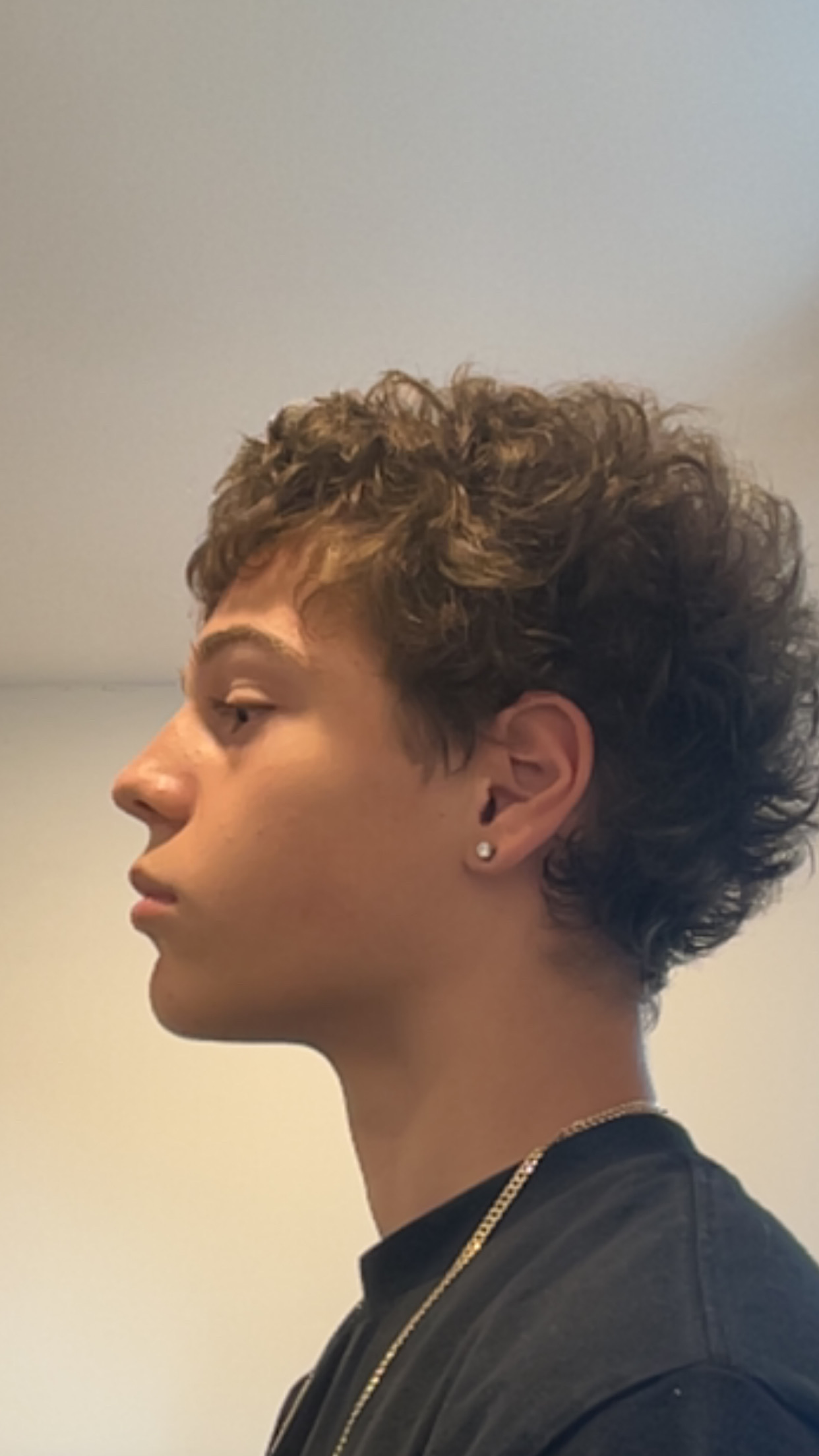 IMG 2610