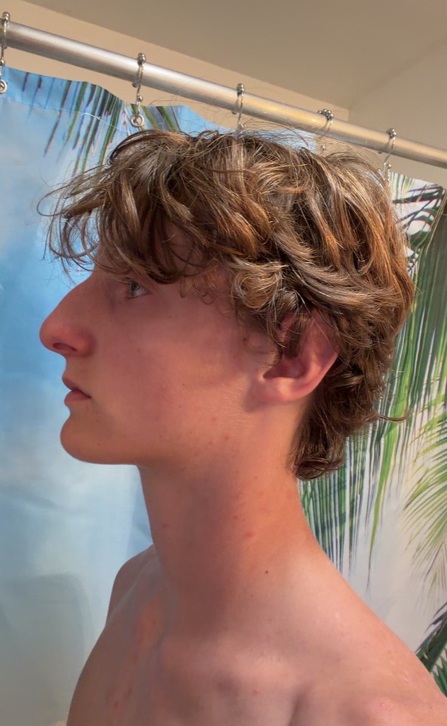 IMG 2614