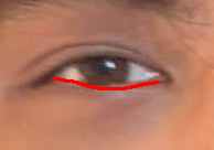 1785842658485