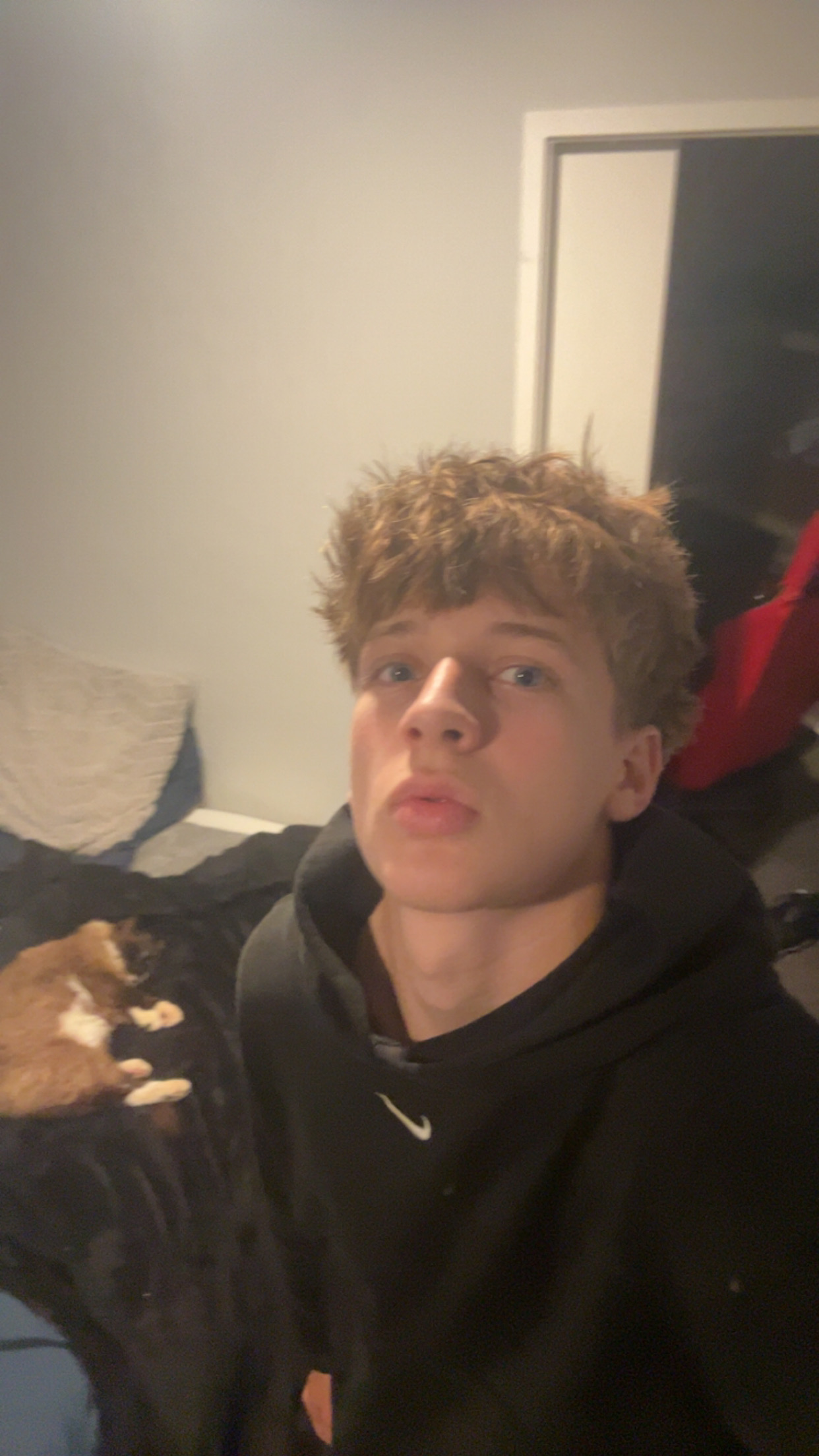 IMG 1740