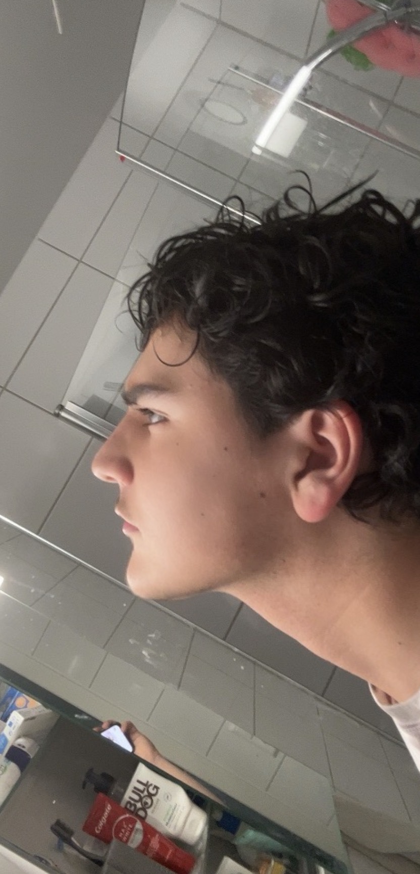 IMG 4636