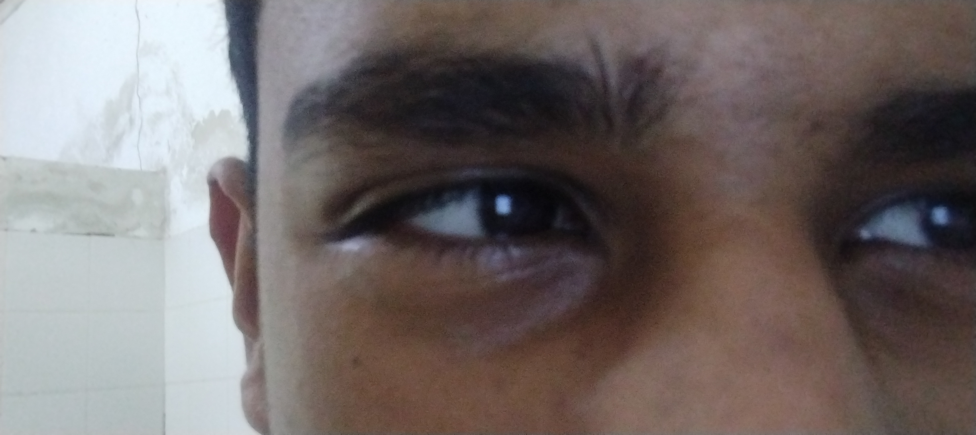 IMG MIRROR 20260804 113627