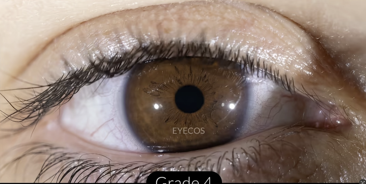 Screenshot 2026 08 04 at 20235PM