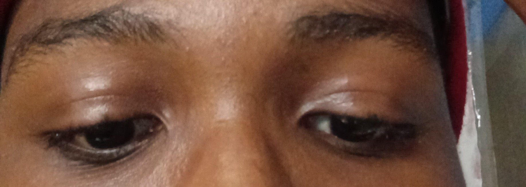 IMG 20260804 1437046192