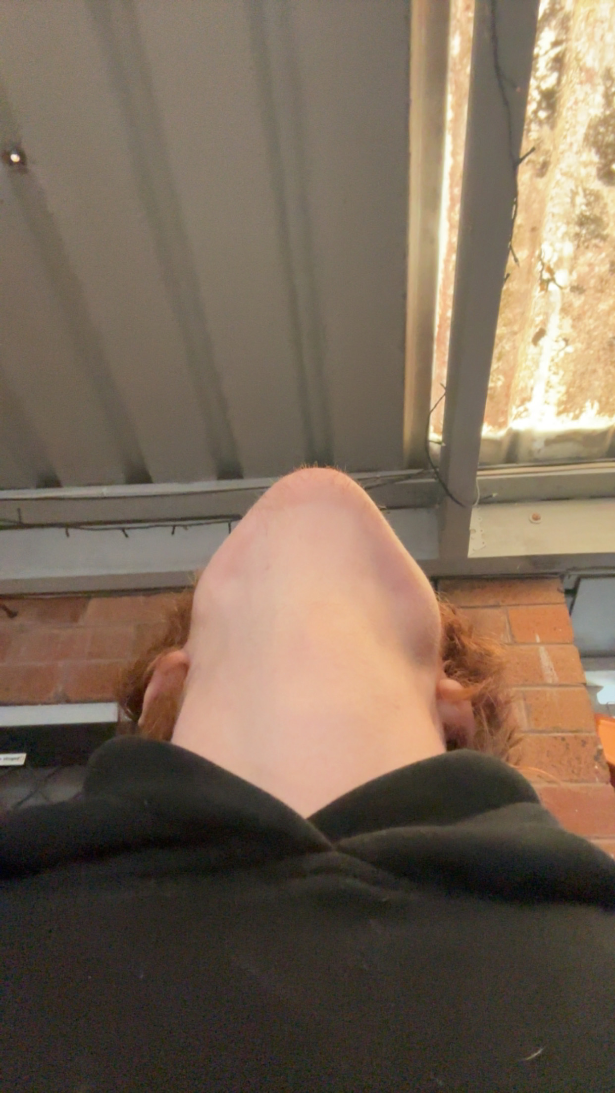 IMG 0628