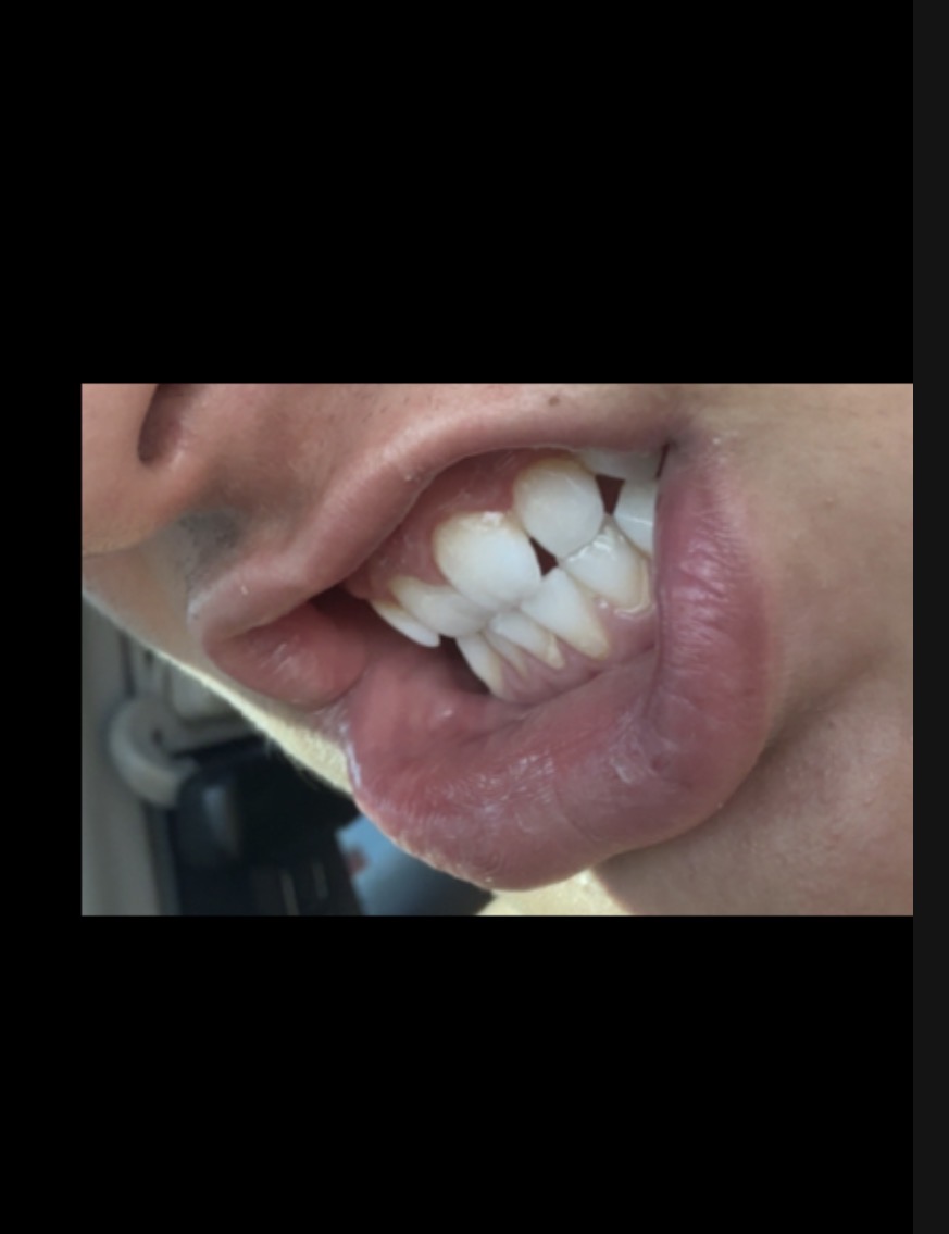 IMG 0012