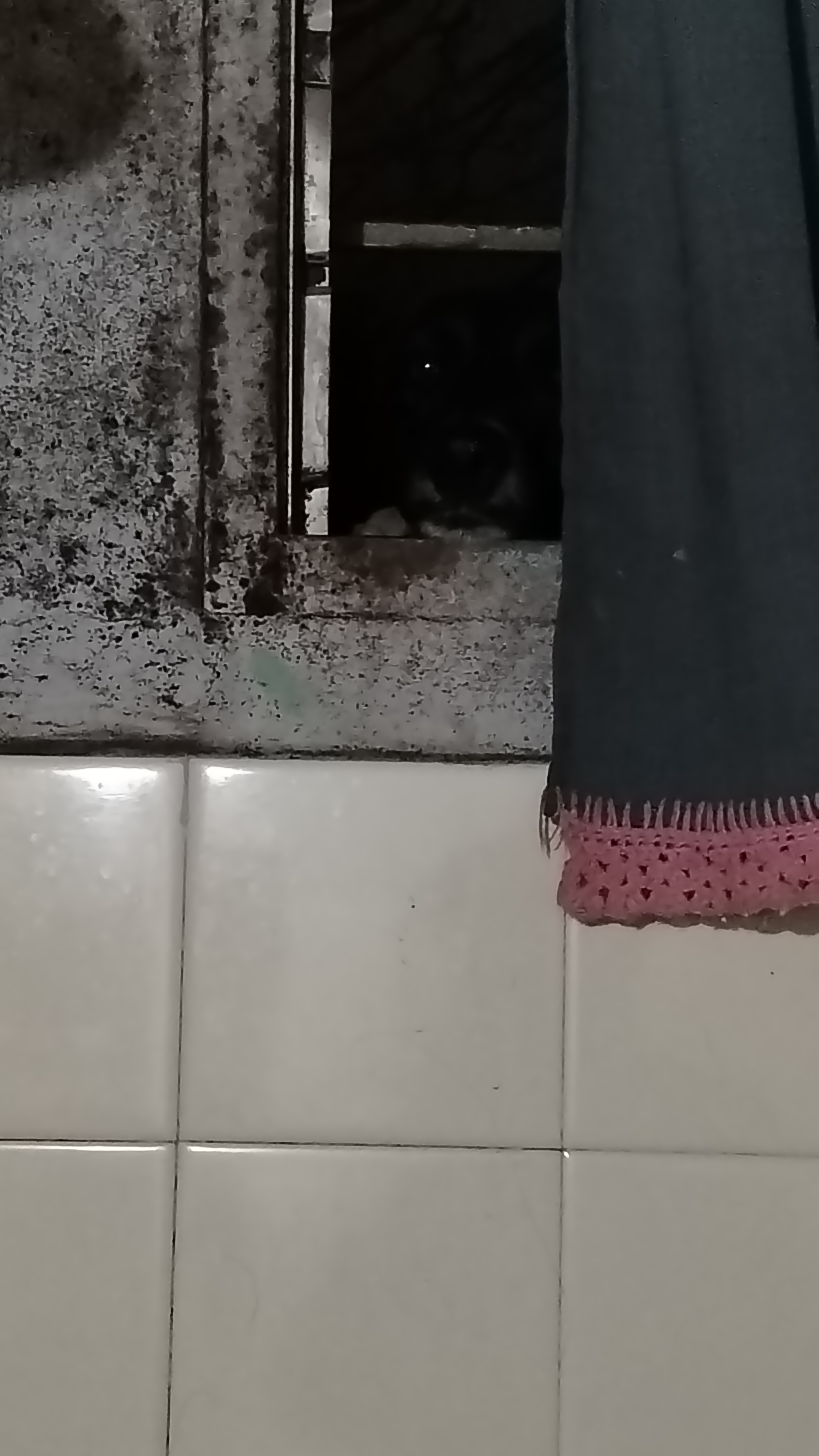 IMG 20260804 225158