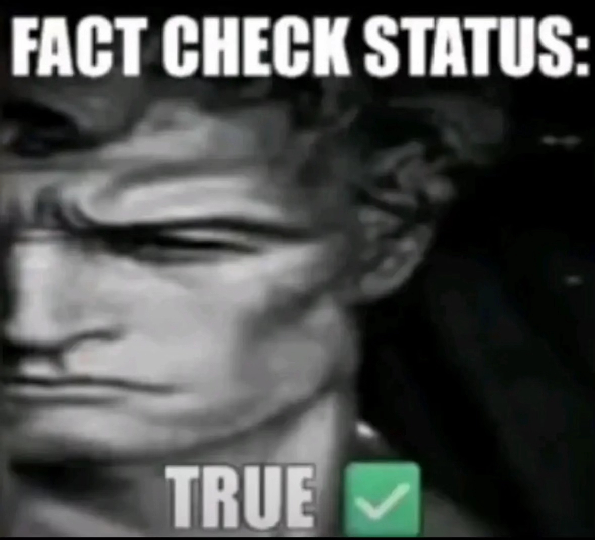 Fact checked