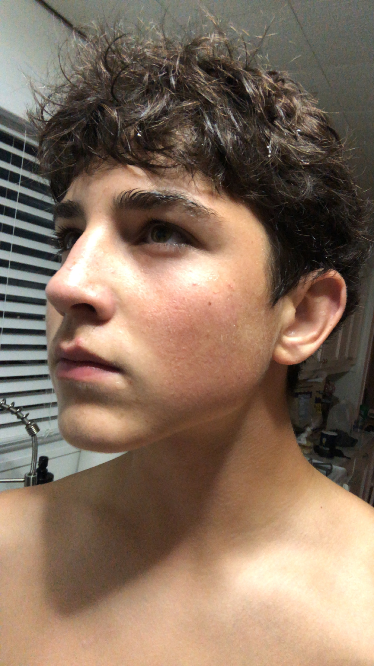 IMG 4569