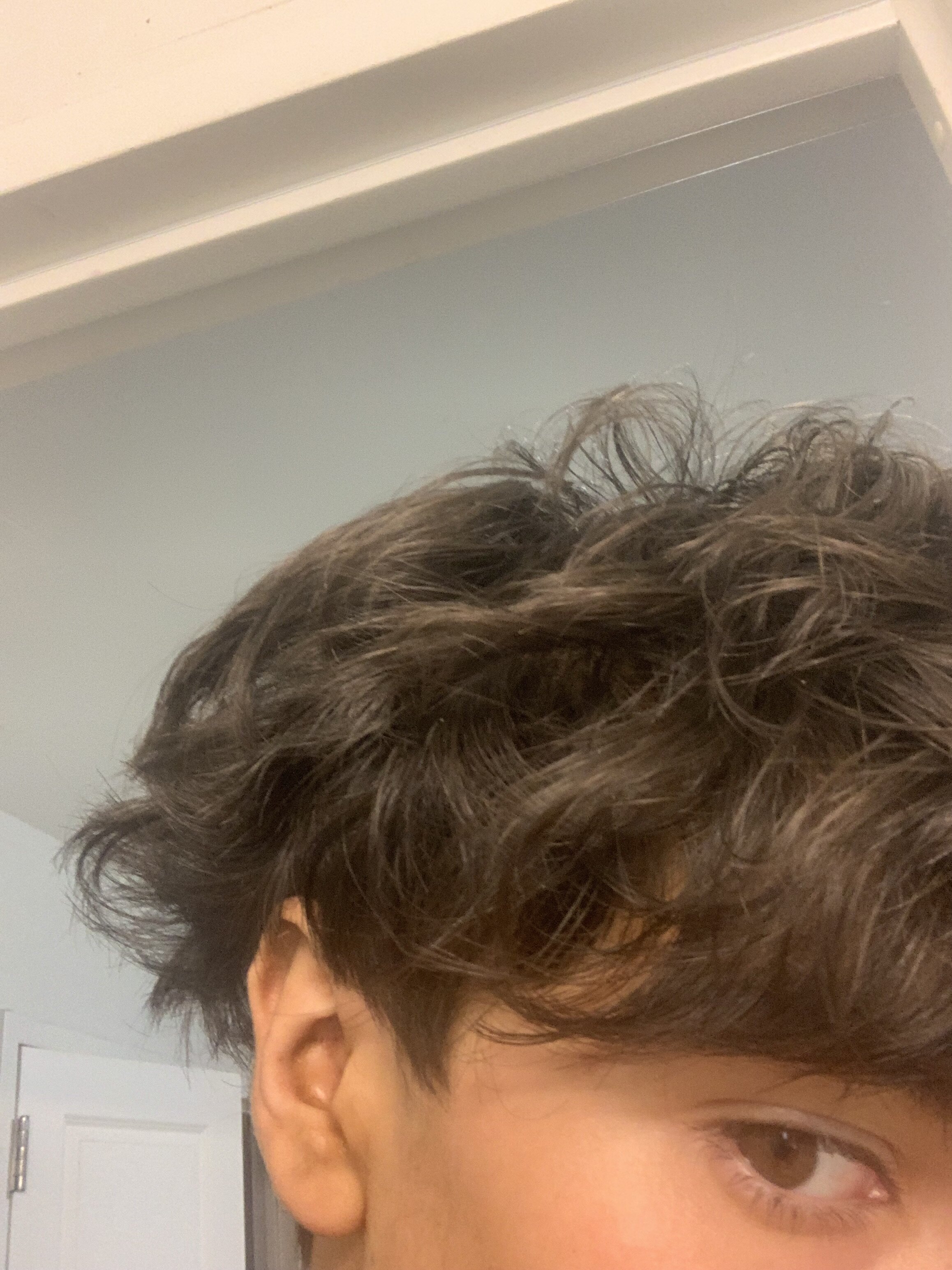 IMG 2695
