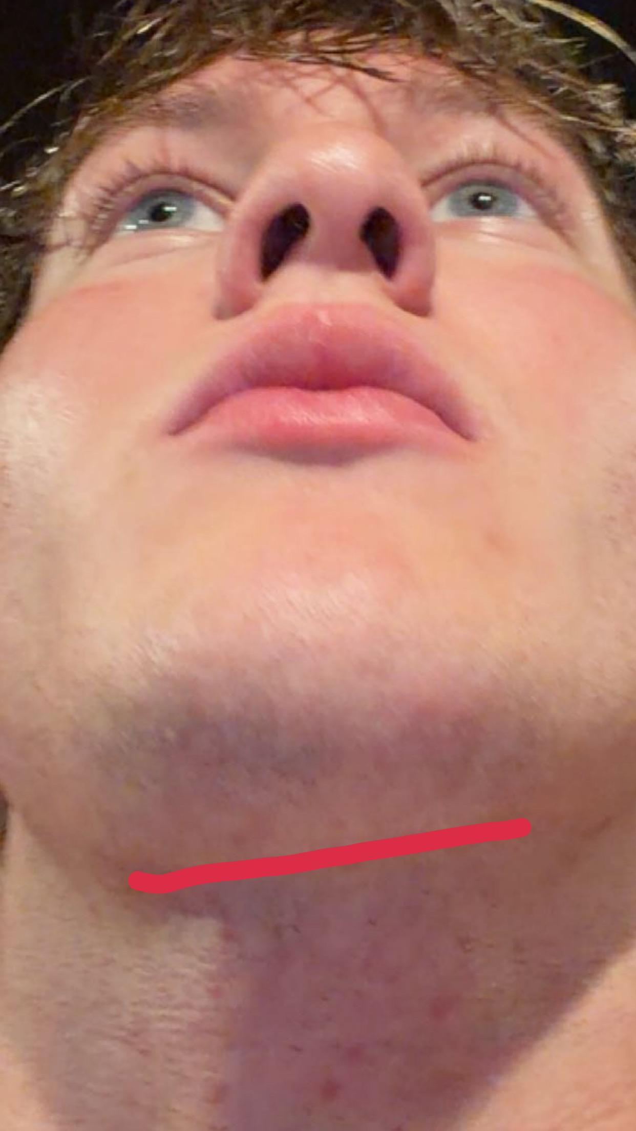 IMG 1704