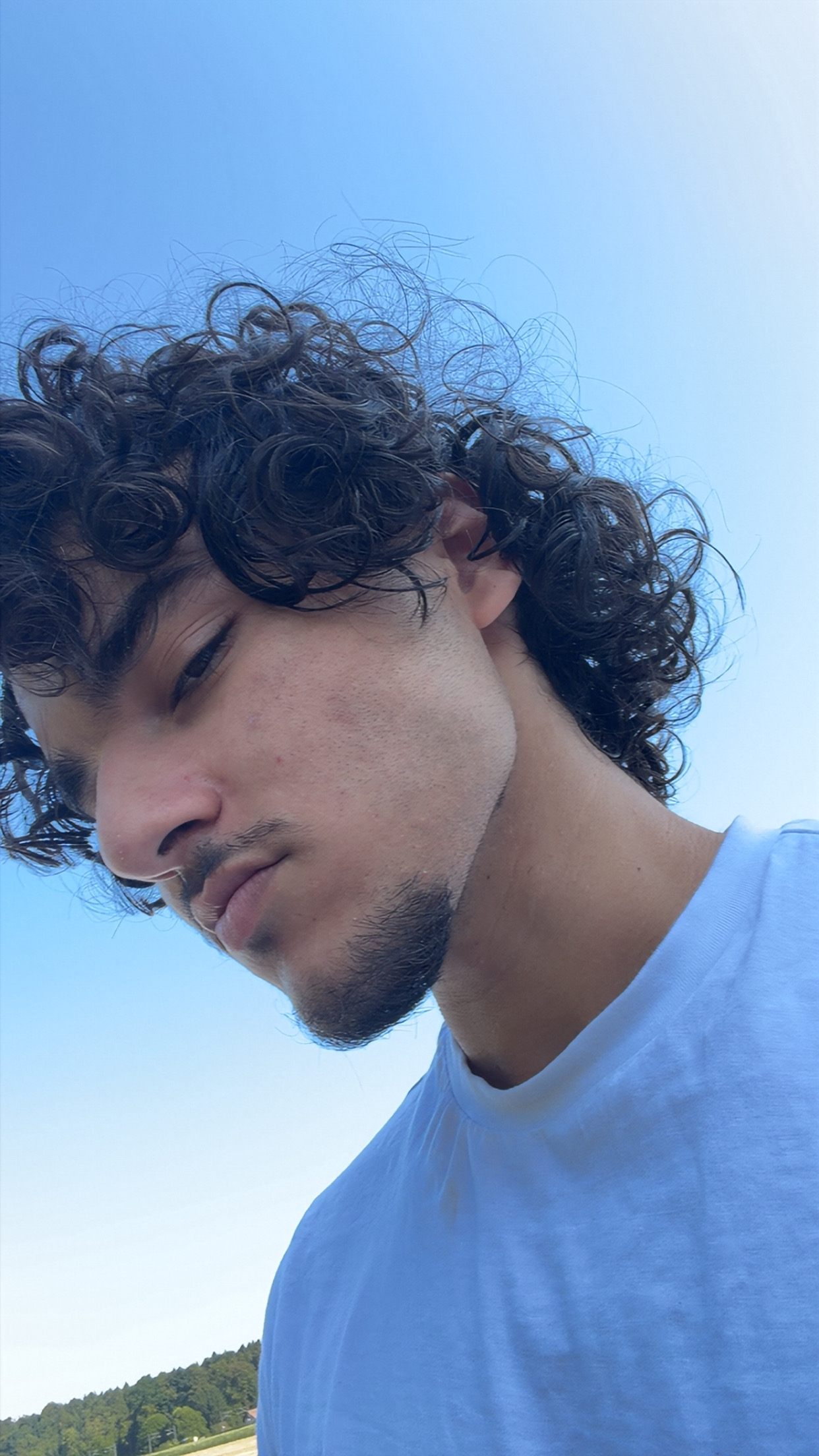 IMG 2524
