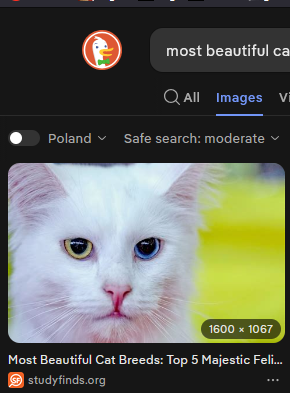 1785960553464