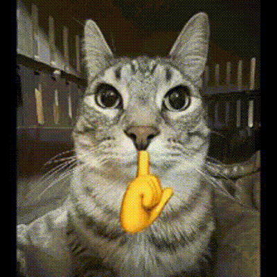 3259