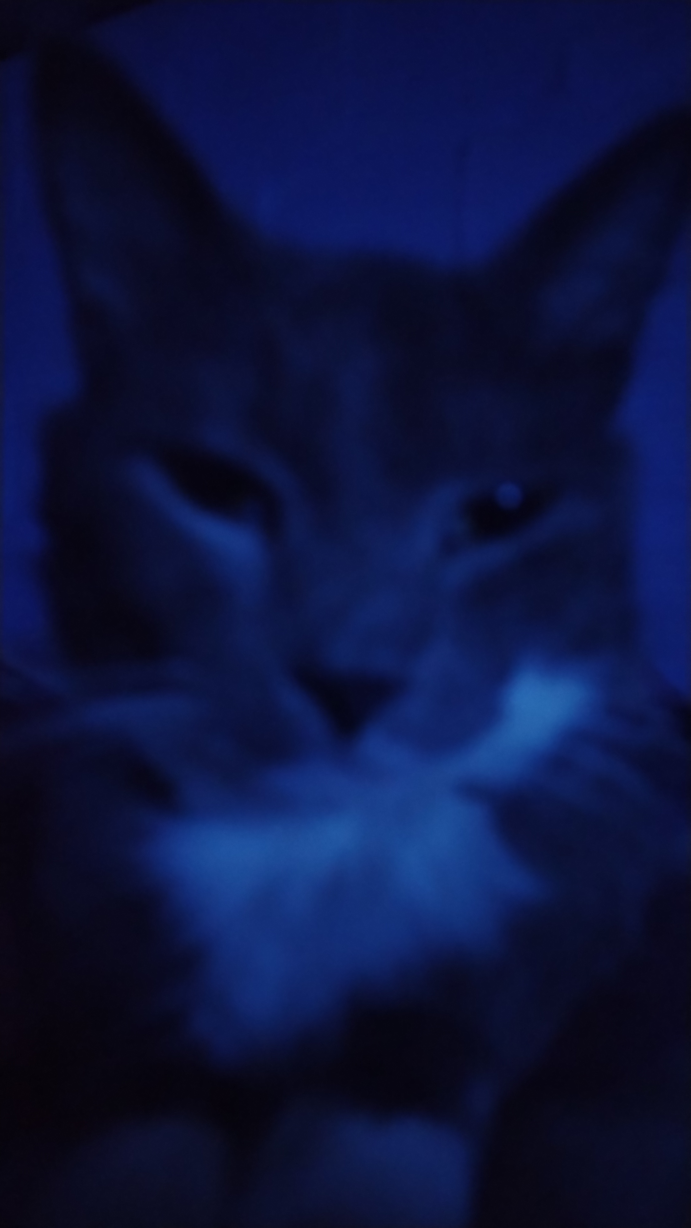 IMG 20260806 001727