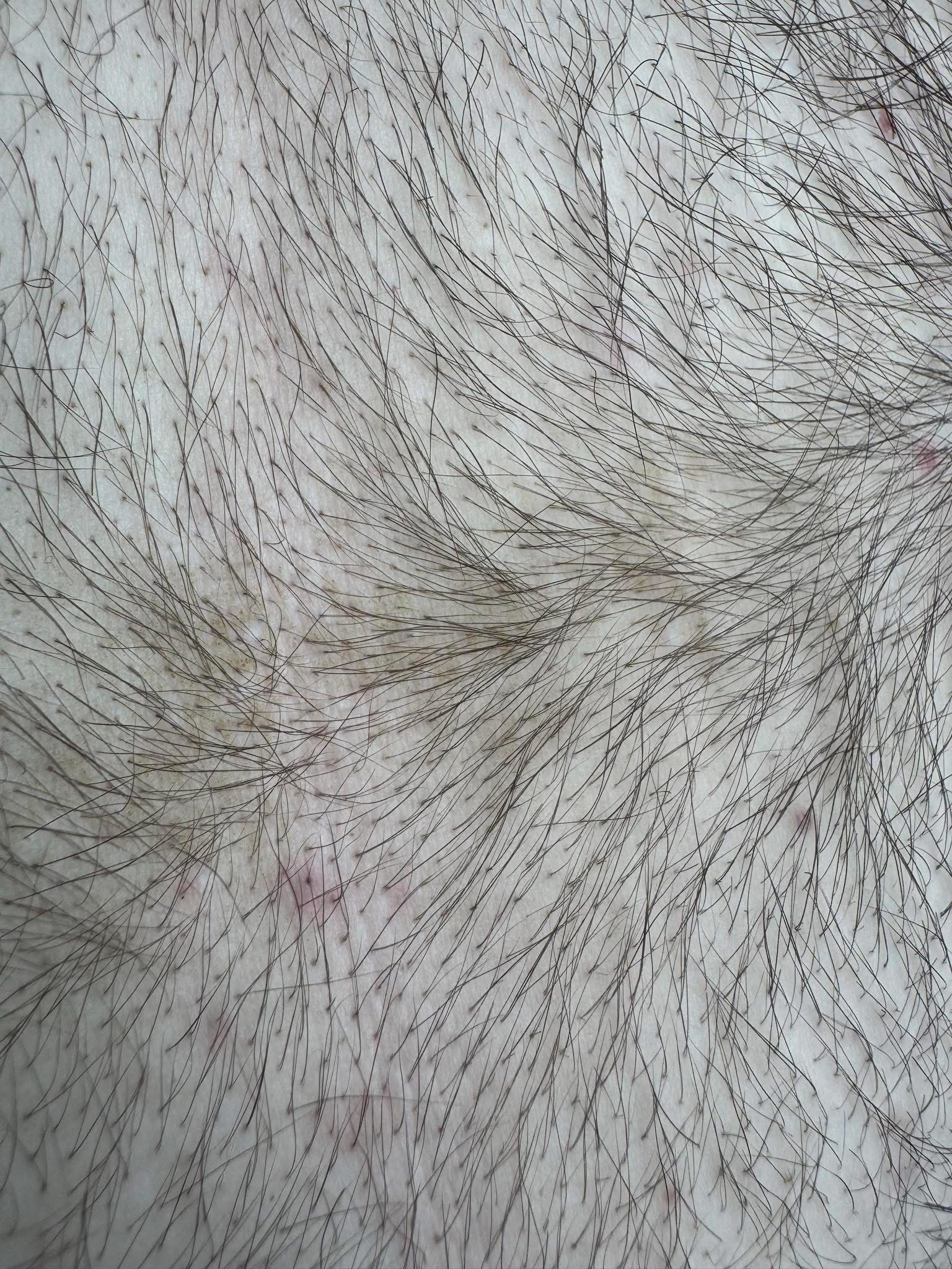 IMG 2210