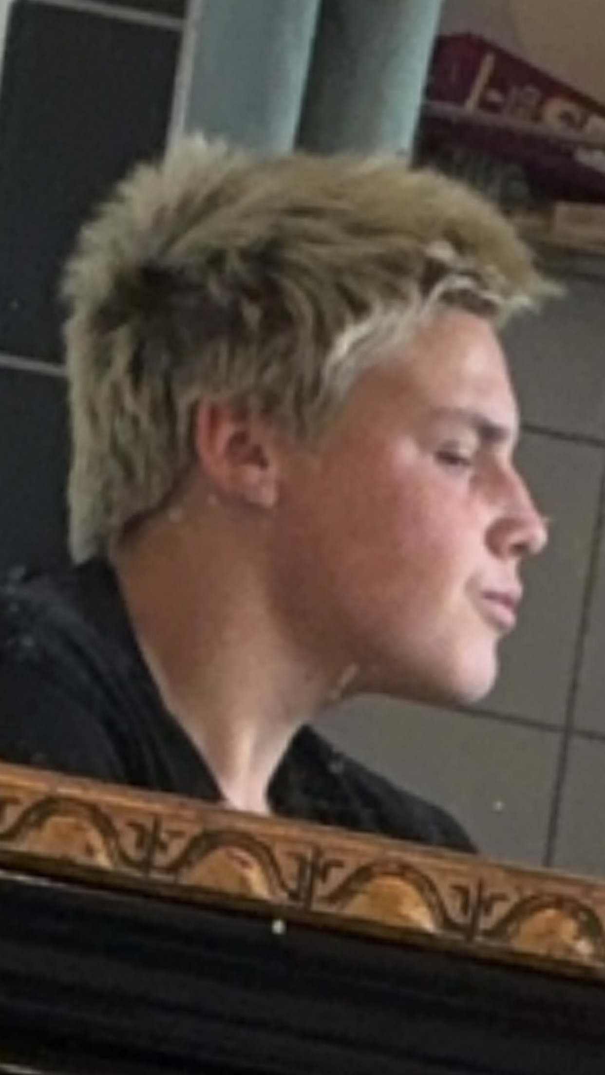 IMG 0237